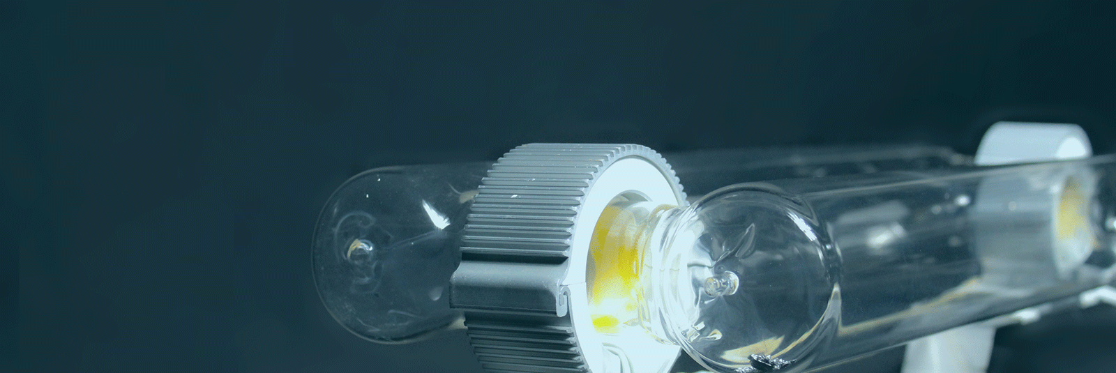 UVC DISINFECTION SERVICE